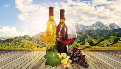 杯中光影 品味红酒的艺术与酒杯的造型